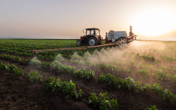 Reliable Blanchard, OK Pest Control Solutions