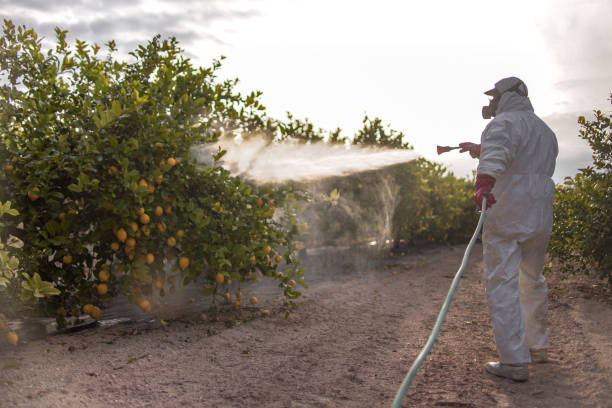 Best Pest Inspection Near Me  in Blanchard, OK