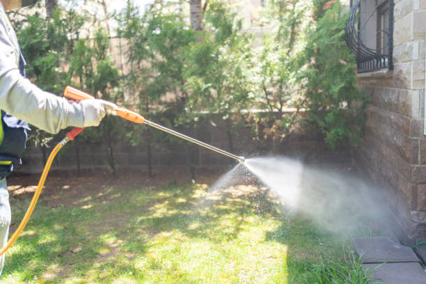 Best Spider Control Near Me  in Blanchard, OK