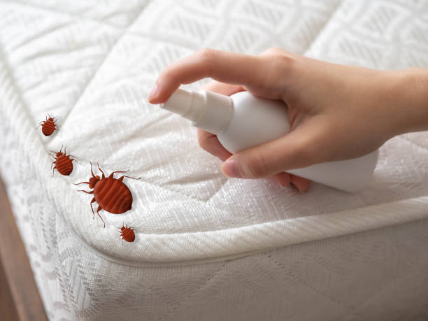 Flea Control Services in Blanchard, OK