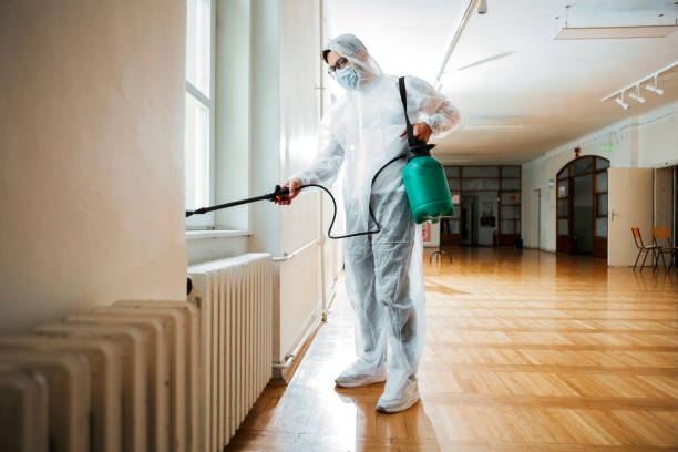 Best Mosquito Control Services  in Blanchard, OK