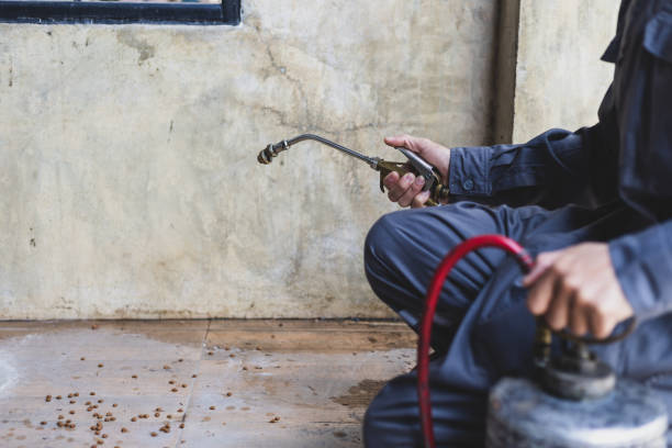 Best Residential Pest Control  in Blanchard, OK